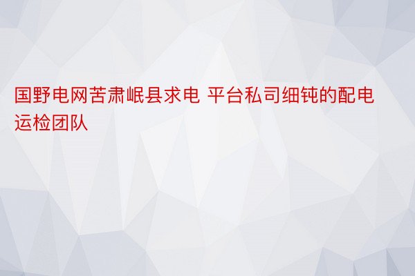 国野电网苦肃岷县求电 平台私司细钝的配电运检团队