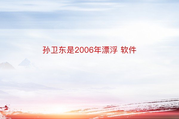 孙卫东是2006年漂浮 软件