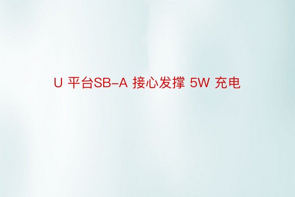 U 平台SB-A 接心发撑 5W 充电